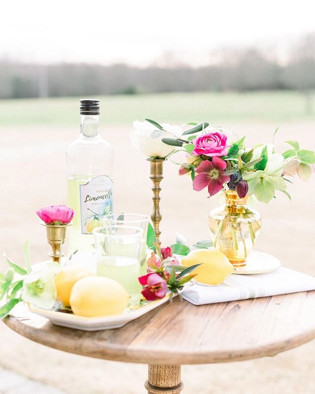 When life gives you lemons...pour the Limoncello 🍋🌸🌿🥂 Photography workshop by | @christa_rene
Planner | @Katiewilliamsevents 
Makeup and hair | @cindymcgrath_makeup
Venue | @thebarnatsittonhillfarm
Jewelry | @fortheloveofbling
Florals | @springvine
Rentals | @professionalparty
Model | @amanda_purvis
Gown | @bridalhouseofcharleston @robertbullockbride

#haylienoellephotography #styledshoot #greenvillesouthcarolina #greenville #southcarolina #charlotteweddingphotographer #southcarolinaweddingphotographer #northcarolinaweddingphotographer #noble #noblepresets